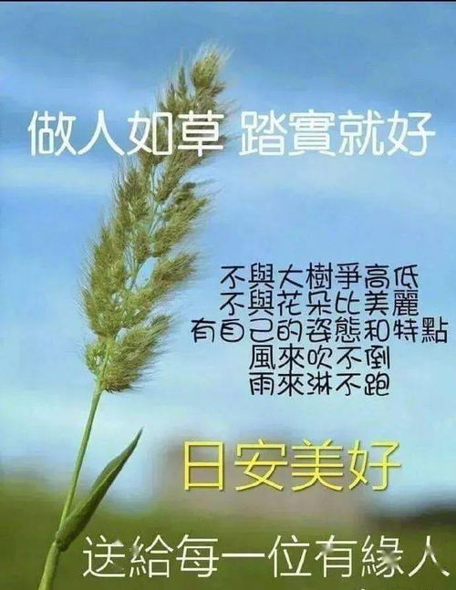 早安,句子,励志,能量