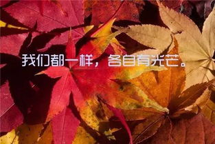 晚安好梦的句子,一句话晚安好梦的句子,晚安好梦的唯美句子