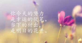 早上正能量满满的朋友圈的句子九月