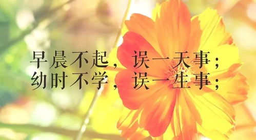 早安正能量句子和,早安励志正能量的句子带,早安问候正能量的句子和