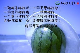 有关夏天音乐正能量的句子