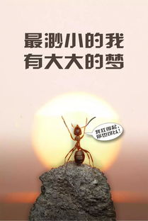 早晨正能量的句子简短