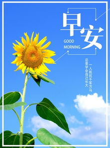 正能量的句子适合早上发的