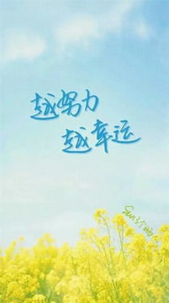 句子,能量