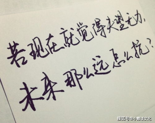 英语,句子,能量,女生