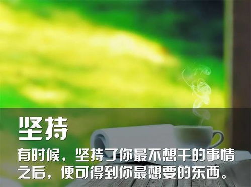 顽强,句子,拼搏,能量