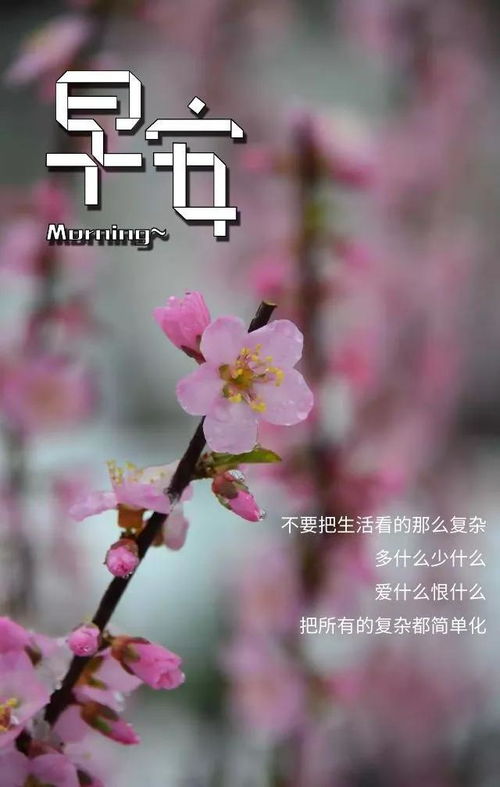 写给余生的正能量句子