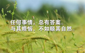 人生正能量励志的句子感悟,正能量句子简短感悟,工作正能量句子简短感悟