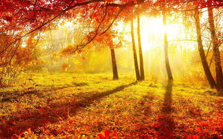 秋天的正能量句子和,秋天的下雨正能量句子,有秋天的励志正能量句子