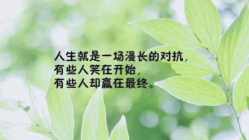 老师正能量发圈的句子