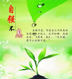 早安,句子,语句,能量