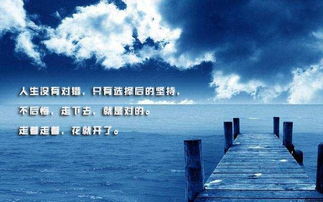 积极阳光正能量的句子,心向阳光正能量的句子,生活阳光正能量的句子