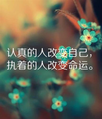 对生活积极向上正能量的句子,积极向上正能量的句子短句,形容积极向上正能量的句子