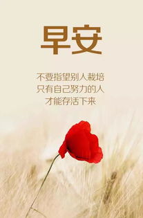 离别劝勉正能量句子