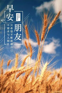 早安,句子,能量,企业