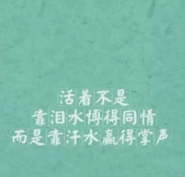 句子,能量