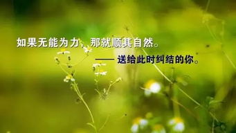 先苦后甜的正能量句子