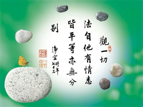 句子,能量,佛系禅语正