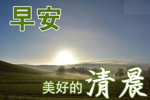 句子,能量,心态