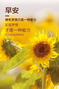 早安,句子,励志,心语