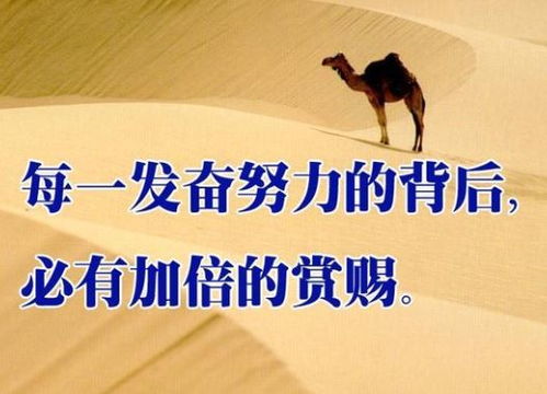 名人名言励志简短正能量句子