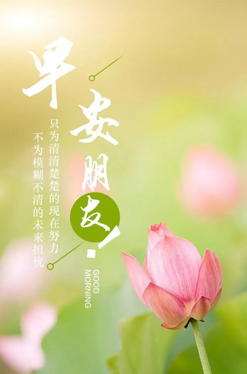 早上好朋友圈正能量句子