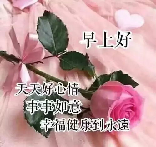 早上好祝福语优美句子正能量