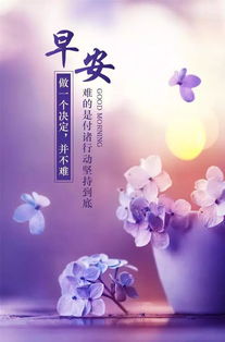 暖心正能量句子带字