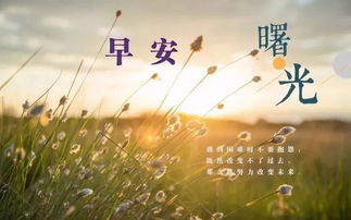生活正能量最美句子
