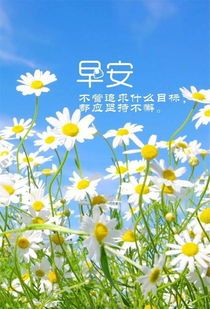 早安,句子,心语,语录