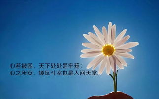 早安,句子,能量