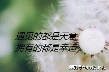 很累,句子,能量,心情