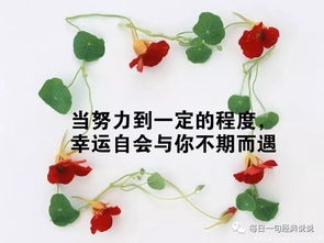 工作心态正能量句子100字,工作心态正能量句子励志,2021工作心态正能量句子