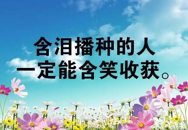 激励班级正能量的句子,班级积极向上正能量的句子,班级团队精神正能量的句子
