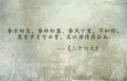 正能量文艺句子50字
