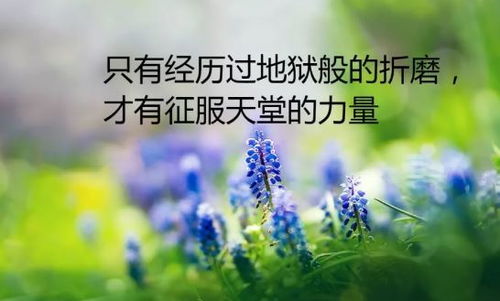 早安,句子,朋友圈,能量