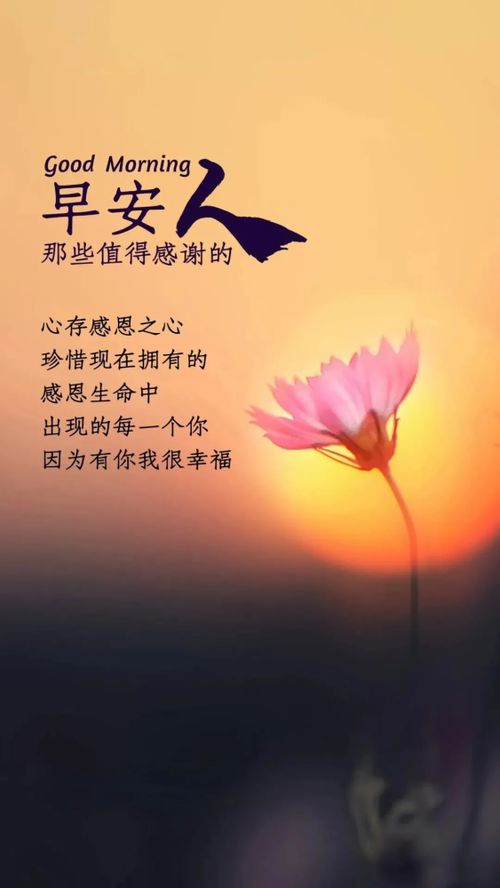 句子,词语,能量