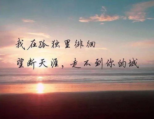 句子,能量,评论