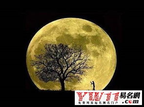 中秋节,句子,能量