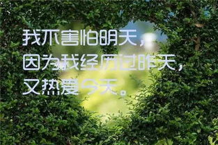 开车时的正能量句子