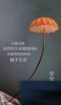 小学生正能量的句子经典短句