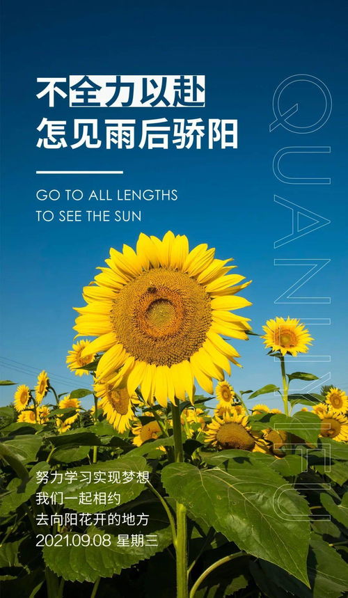 句子,能量,下午,问候语