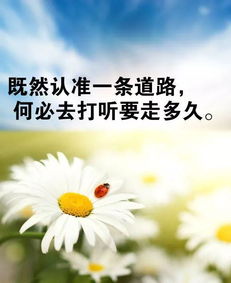 热爱祖国正能量的句子,阳光正能量的句子,晚安正能量句子