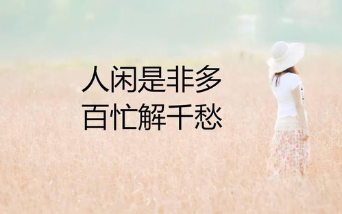偶像励志的话正能量句子