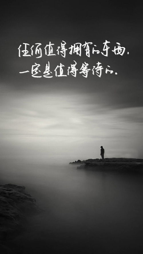 学习正能量的句子_手机版