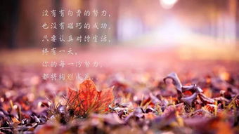 句子,能量,心情