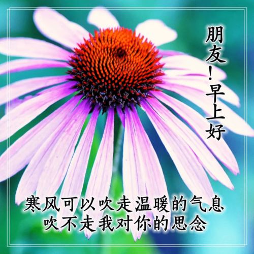句子,能量,温柔,温暖