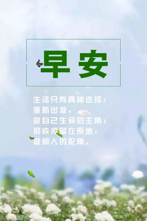 失眠的句子励志正能量