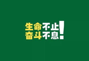 考研正能量的句子经典语录,考研正能量句子鼓励考研,考研正能量句子简短