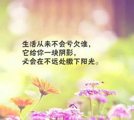 成功的句子正能量